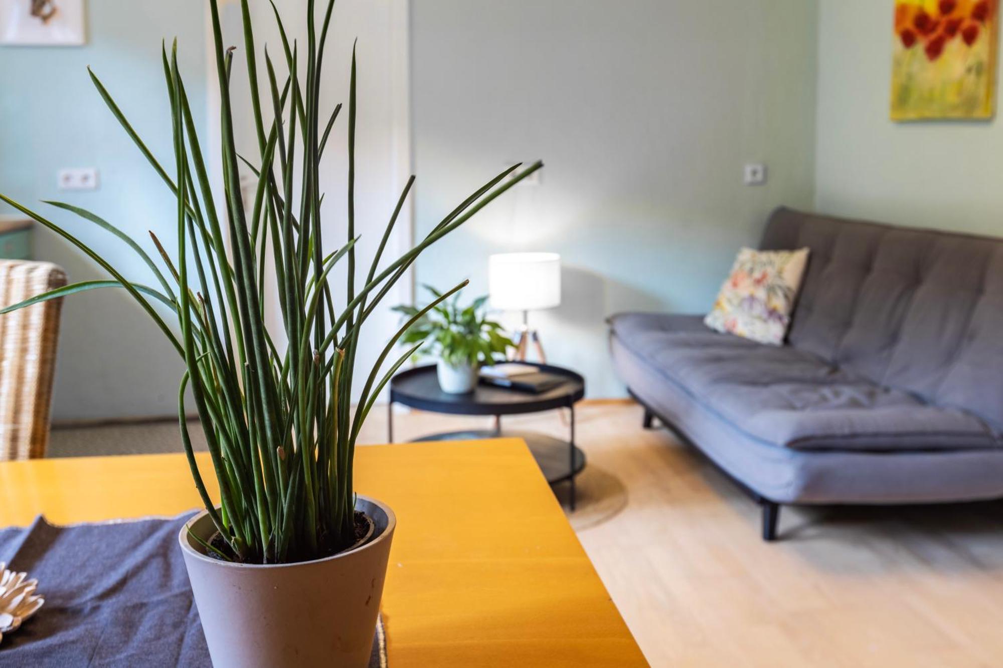 Ferienwohnung Karker 1 博登斯边的拉多夫采尔 外观 照片
